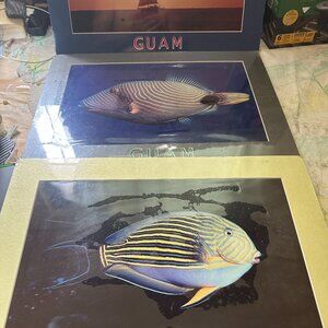 Lot of 3 Guam Photo Frames 20" x 14.5" Yellow Blue Angel Fish Sailboat Sunset Gu